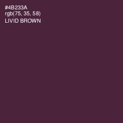 #4B233A - Livid Brown Color Image